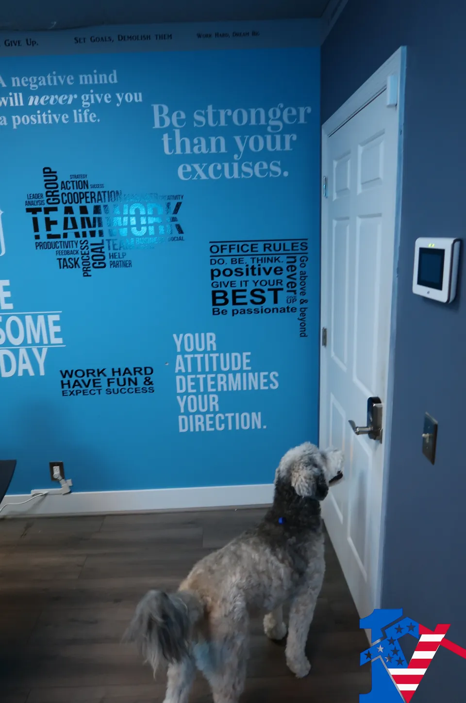Dolly, a gray doodle, waits at an office door beside a blue wall of motivational words.